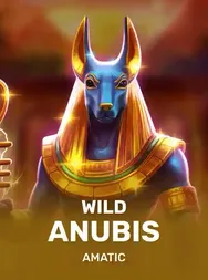 Wild Anubis